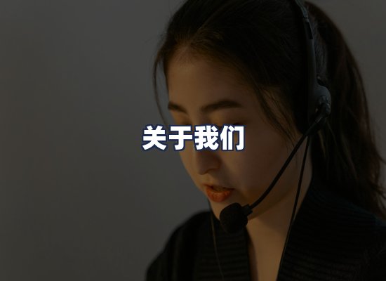 关于我们